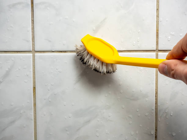 Best Mold Testing and Inspection Services in Boronda, CA