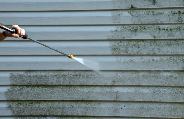 Best Black Mold Remediation in Boronda, CA