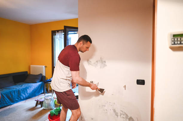 Best Residential Mold Remediation in Boronda, CA